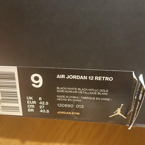 Master air Jordan 12 main image 4